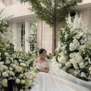 꽃길 | 본식스냅DVD 꽃길필름 만족 후기 | CN웨딩홀 계산점 본식스냅 후기