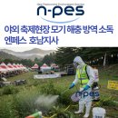 엔페스호남