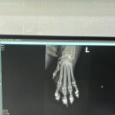 24시보듬동물병원 이미지