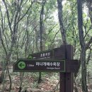 자연을 벗삼아 걸을 수 있는 무의도 경관숲길( 하나개해수욕장~환상의길 종점: 1.18km) 이미지