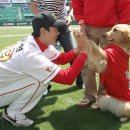 데이도그 이미지