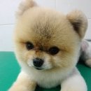 착한인형 이미지