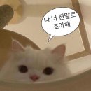 (주)이지엠앤씨 이미지