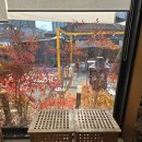 권선어울림(아) | 고색동 숨은 카페 물레(MULLE)｜주택개조 감성카페 내돈내산 후기