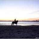 해맞이승마클럽 이미지