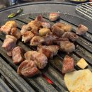 고핌 이미지