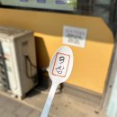 강릉식당 | 강릉현지인맛집 정화식당 오징어볶음 내돈내산 솔직후기 완전 맛있다