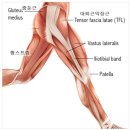 모인필라테스