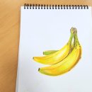 꽃그림 보타니컬 색연필화 | 시니어강사 ] 노인복지관 출강 색연필화 보타니컬아트 수업 진행 중 생생후기