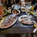 바다풍경펜션도시어부 이미지