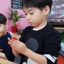 바담바담그린쿠키