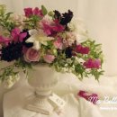 우리의 봄날 이미지