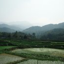 春耕[춘경-봄갈이], 조태채(趙泰采)