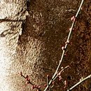 지혜이발관 이미지