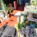 추전벨리가든 이미지