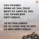 정토삼경일론 대의 (2) 제18원 - 사바와 극락 중 우리는 어디에 속해야 할까? 오늘도 일향전념 나무아미타불 🙏 이미지