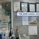 율전동물병원