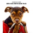 A dog's (어독스) 이미지