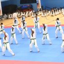 챔피온체육관    (태권도) 이미지