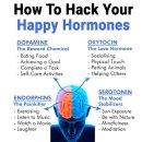 행복 호로몬/세로토닌(serotonin) 이미지