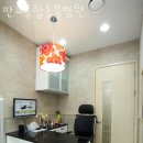 판교종합 동물병원 이미지