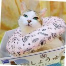 모모솜사탕 이미지