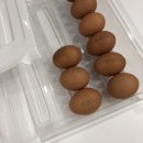 퍼털그라운드 이미지