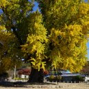 선학동민박 이미지