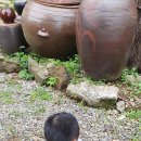 레인보우카센타 이미지