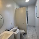 (Female only)One large room available in downtown Toronto 이미지
