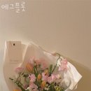 에그플롯 이미지