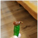 옴싹 네이버블로그