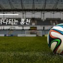홍천군체육회 이미지