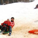 송어축제 이미지