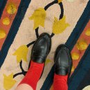 에스소프트 | 자라 더로우 소프트 셔링 로퍼 사이즈 2개 솔직 착화후기