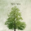 내 몸에 힐링요가 이미지