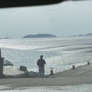 바닷가우리집 | [안산] 대부도 바닷가 숨은 노포 맛집, 동환네 조개구이 방문 후기 (짱좋, 강추)