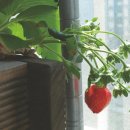 학이유치원 이미지