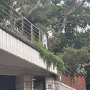 (주)더드림인베스트먼트 | [ASTERUM 443-10] 6월 십카페 두근두근 첫방문 후기