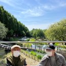 산책하는요양원 이미지