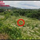 안성면102 이미지