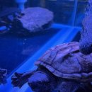 몰트라운지 이미지