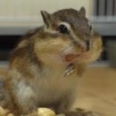 태용농장 이미지