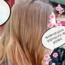 화이트헤어칼라 - 북구 동림동 | 화이트헤어칼라