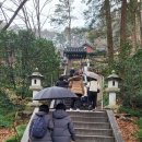 동방장 | [경남 하동 가볼 만한 절] 엄동설한에 다녀온 하동 쌍계사 겨울 순례기