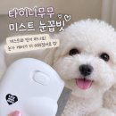 눈꼽 | 강아지눈꼽빗 추천! 타이니무무 미스트 눈꼽빗 솔직 후기