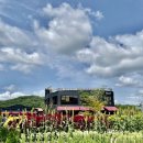 별내7통 마을회관 이미지