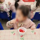 영아농장 | 사진만 찍고 오란 건가요? 제약 가득했던 딸기농장 견학 후기😤
