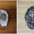 광진해물조개구이 이미지