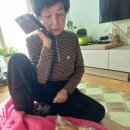 세진베이커리 이미지